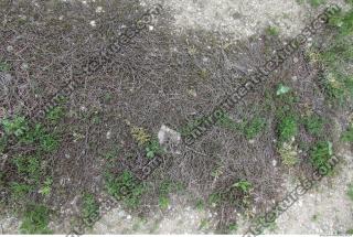 Photo of Various Textures